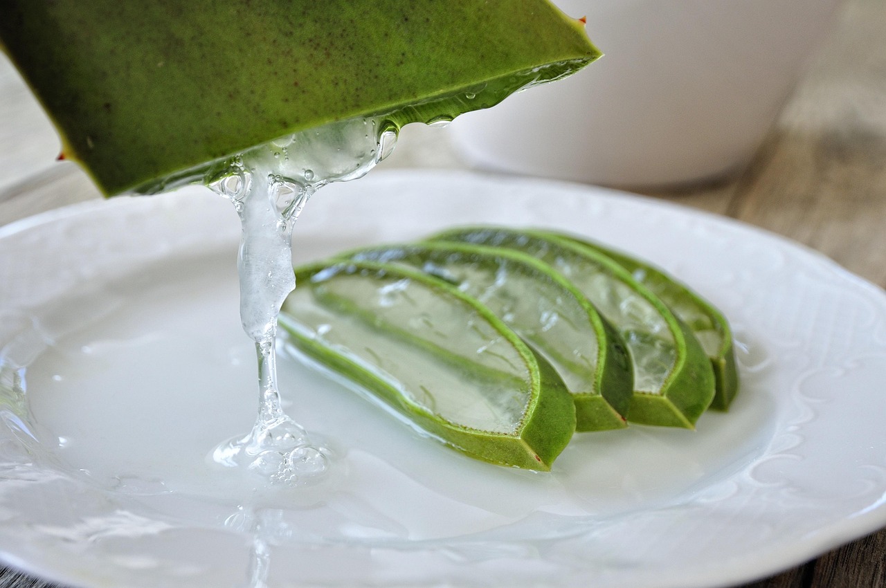 Aloe vera : bienfaits pour la peau et usages